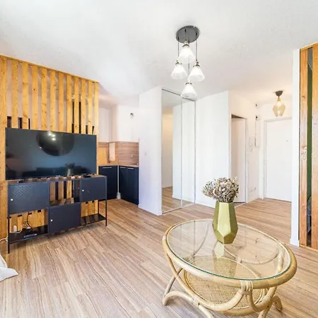 With Semi-open Bedroom Near Part-dieu & Tram Appartement *